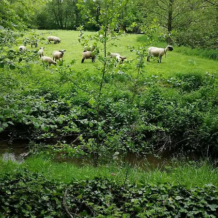 Le Du Moulin Des Falihottes Braives