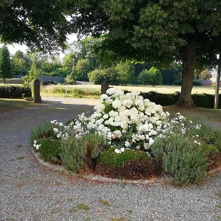 Le Du Moulin Des Falihottes